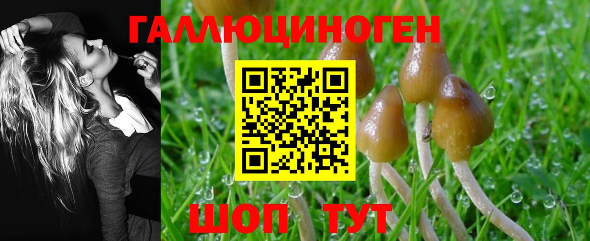Галлюциногенные грибы Psilocybe  Вход с VPN  Галлюциногенные грибы Psilocybe  Всеволожск 